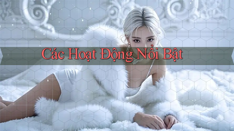 Các Hoạt Động Nổi Bật