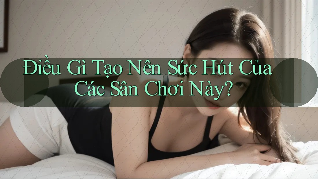 Điều Gì Tạo Nên Sức Hút Của Các Sân Chơi Này?