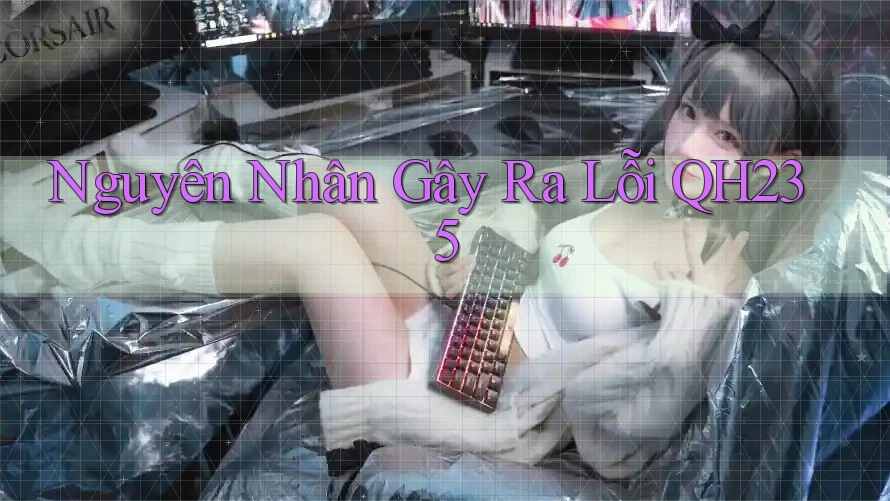Nguyên Nhân Gây Ra Lỗi QH235
