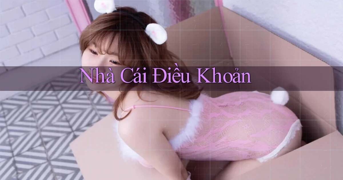 nhà cái Điều khoản